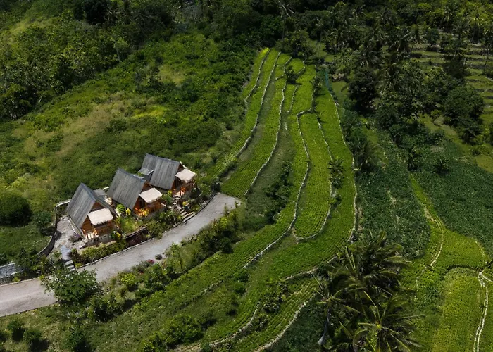 Janggur Baud Hill Nusa Penida Polilit